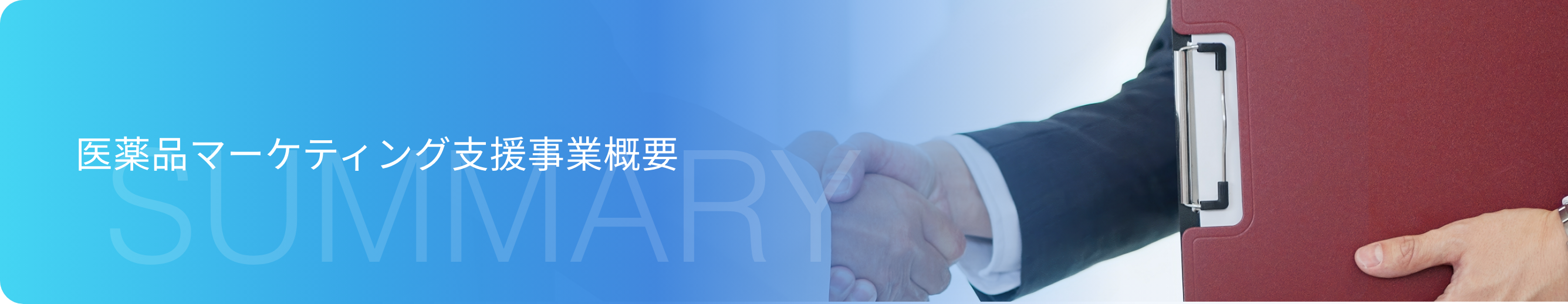 医薬品マーケティング支援事業概要