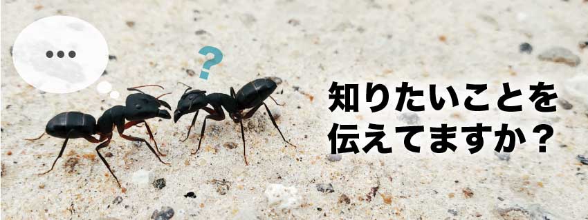 知りたいことを伝えてますか？